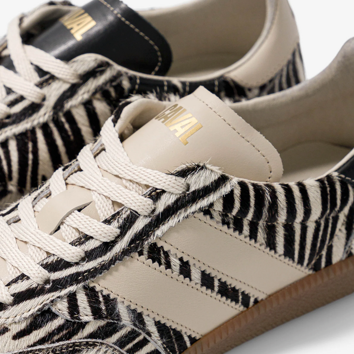 Caval Sneaker ZEBRA OBSESSION