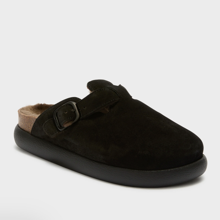 Scholl Suede-Mules in Schwarz
